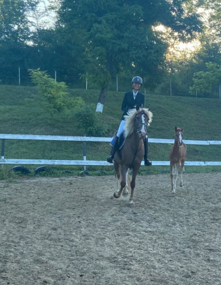 S-a apucat de călărit? Soprana Valentina Naforniță a vizitat plutonul de cavalerie al INSP (FOTO)