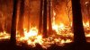 Un alt incendiu a distrus vegetaţia de pe 20 de hectare în comitatul Tuolumne din California