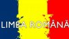 Politicienii despre introducerea limbii române în Constituția Republicii Moldova: „Nu cred că anume astăzi trebuie să politizăm întrebarea limbii”