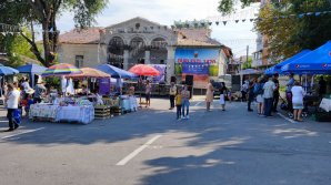 Festivalul strugurilor timpurii fără struguri. La târgul specializaz din Durleşti a venit doar un viticultor