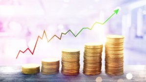 Rata inflaţiei din zona euro a ajuns la un maxim istoric în luna mai