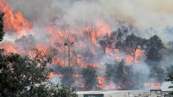 Incendiile DEVASTATOARE continuă în Spania. Peste 75 de hectare de pădure au fost mistuite de flăcări în Catalania