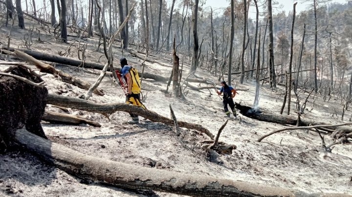 Mărturii din infernul incendiilor din Grecia: "Aici e ca la război". Ce spun salvatorii moldoveni (VIDEO)