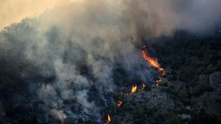 Incendii PUTERNICE în Turcia. Flăcările se apropie din nou de o centrală electrică  