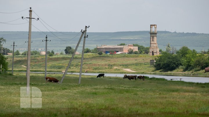 Vara pe melagurile moldave. Imagini care îţi vor trezi amintiri (FOTOREPORT)