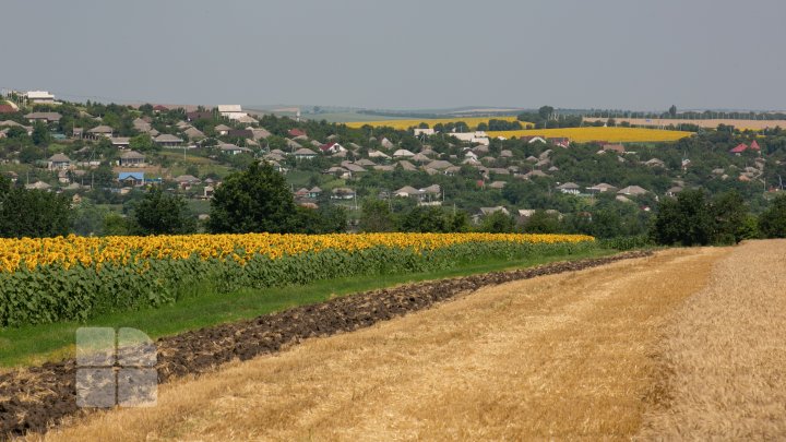 Vara pe melagurile moldave. Imagini care îţi vor trezi amintiri (FOTOREPORT)