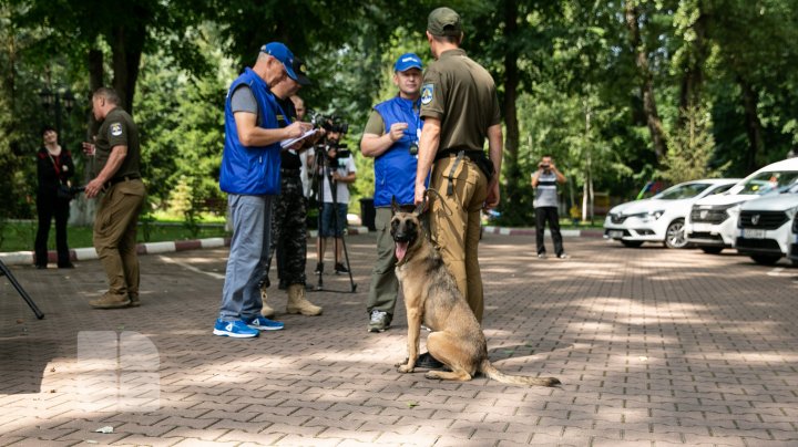 Competiție pentru câini la Vadul lui Vodă. Cum au reușit patrupezii să impresioneze arbitrii (FOTOREPORT)