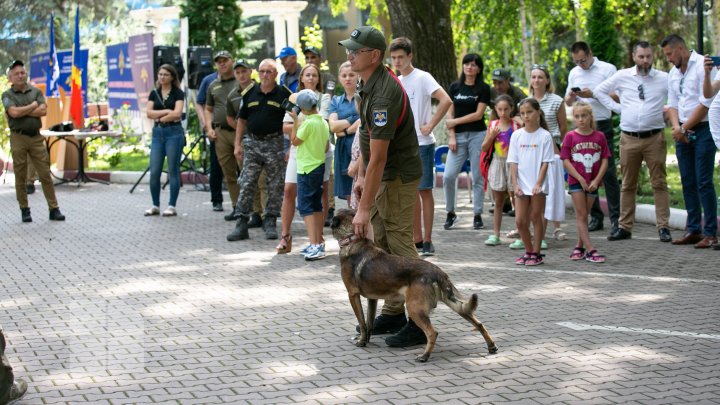 Competiție pentru câini la Vadul lui Vodă. Cum au reușit patrupezii să impresioneze arbitrii (FOTOREPORT)