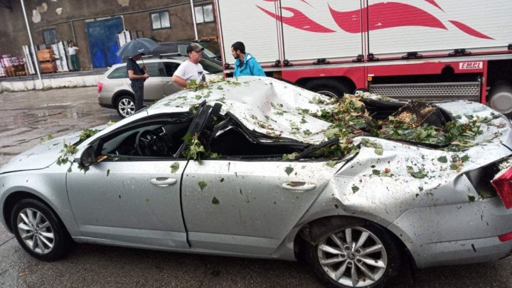 IMAGINI DE GROAZĂ în Capitală. Maşini distruse de copaci doborâţi de vânt (FOTO)