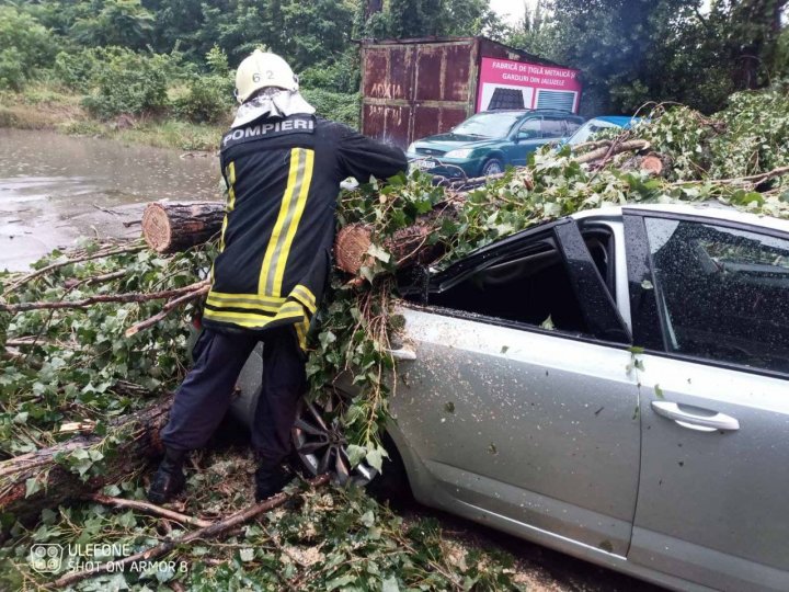 IMAGINI DE GROAZĂ în Capitală. Maşini distruse de copaci doborâţi de vânt (FOTO)