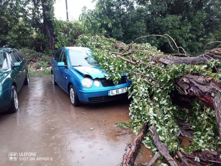 IMAGINI DE GROAZĂ în Capitală. Maşini distruse de copaci doborâţi de vânt (FOTO)