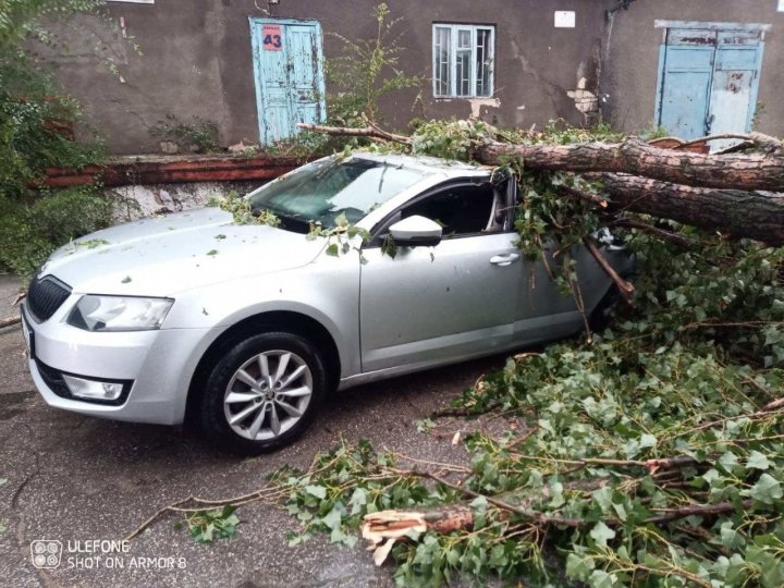 IMAGINI DE GROAZĂ în Capitală. Maşini distruse de copaci doborâţi de vânt (FOTO)