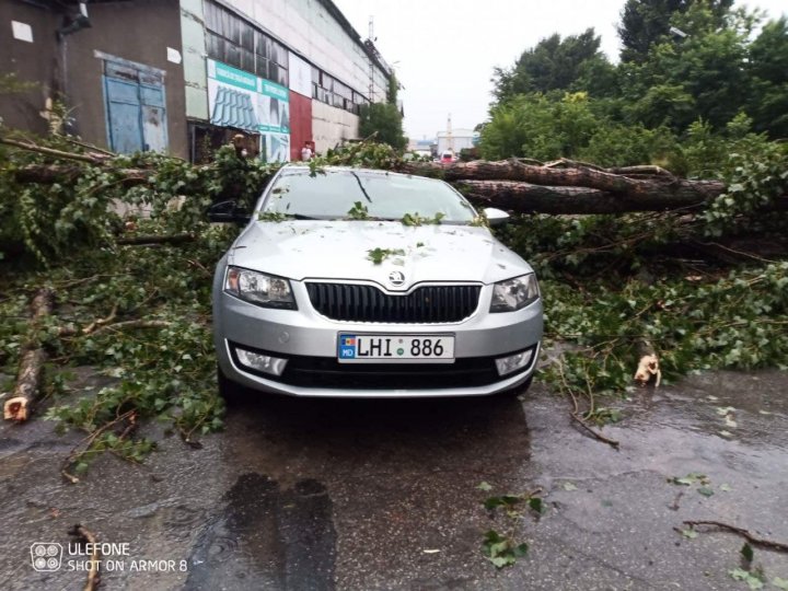 IMAGINI DE GROAZĂ în Capitală. Maşini distruse de copaci doborâţi de vânt (FOTO)