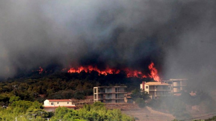 Siria a executat 24 de oameni acuzați că au provocat incendiile forestiere de anul trecut