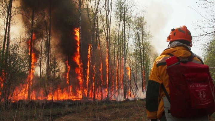 IMAGINI APOCALIPTICE: Fumul degajat de incendii a ajuns până la Polul Nord