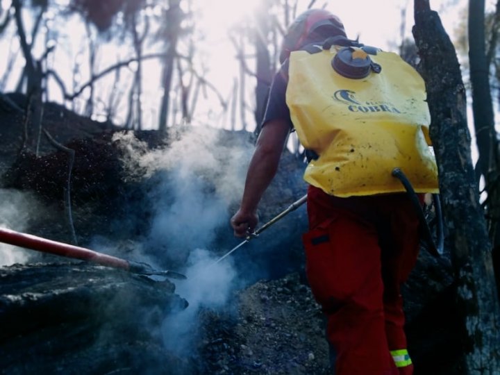 Peste 260 de incendii au fost stinse de pompierii moldoveni în Grecia (VIDEO/FOTO)