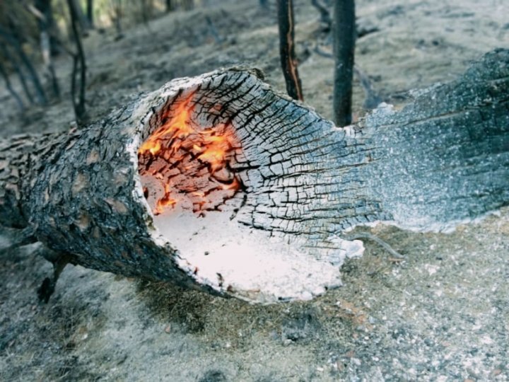 Peste 260 de incendii au fost stinse de pompierii moldoveni în Grecia (VIDEO/FOTO)