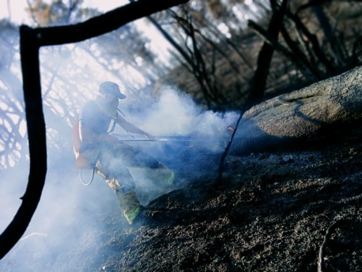 Peste 260 de incendii au fost stinse de pompierii moldoveni în Grecia (VIDEO/FOTO)