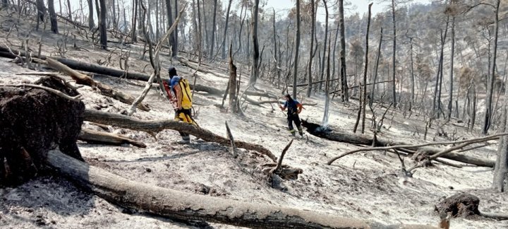 Peste 59 de focare au fost stinse de pompierii moldoveni detașați în Grecia (FOTO)