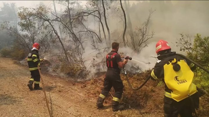 Vacanțe gratuite în Thassos pentru pompierii români care ajută la stingerea incendiilor. Aceştia au primit laude din partea grecilor