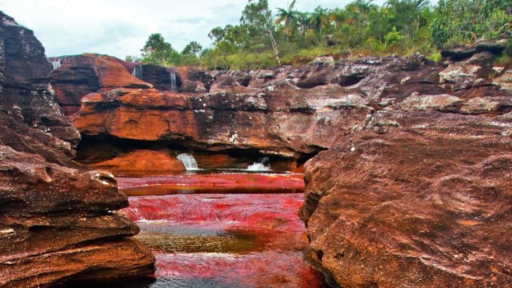 Imagini spectaculoase cu „Râul celor 5 culori”. Care e perioada optimă pentru a vizita această destinație turistică