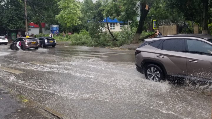 Imagini de GROAZĂ în Capitală. Furtuna a doborât mai mulți copaci, iar circulația pe străzi a fost blocată