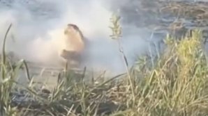 Imagini TERIFIANTE. Un aligator înghite o dronă, care îi explodează în gură (VIDEO)