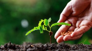 Votat în a II-a lectură. Statul va rambursa TVA pentru agricultori 