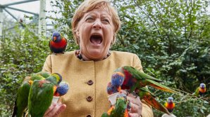 IMAGINEA ZILEI cu Angela Merkel. Cancelarul german a vizitat parcul de păsări din orașul Marlow (FOTO)