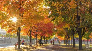 Meteorologii anunță cer variabil în toată Moldova. La Comrat şi Cahul se vor înregistra temperaturi înalte