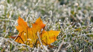  Vremea schimbă foaia, meteorologii anunță cod galben de îngheț. Ce temperaturi ne așteaptă așteaptă în următoarele zile
