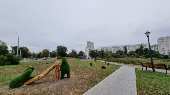 Într-un parc din Capitală au apărut animăluţe verzi (FOTO)