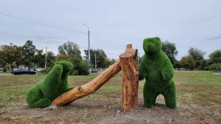 Într-un parc din Capitală au apărut animăluţe verzi (FOTO)