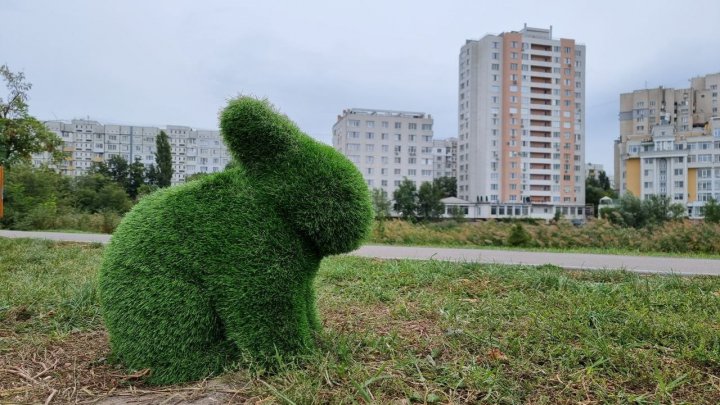 Într-un parc din Capitală au apărut animăluţe verzi (FOTO)