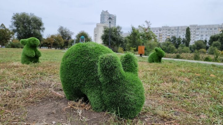 Într-un parc din Capitală au apărut animăluţe verzi (FOTO)