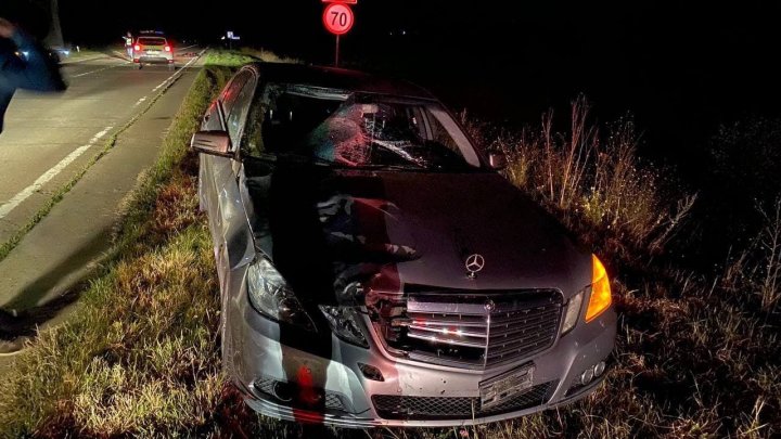 IMAGINI de GROAZĂ pe o şosea din Călăraşi. Un cal, lovit mortal de un automobil (FOTO)