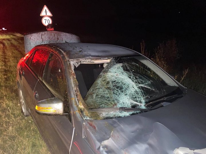 IMAGINI de GROAZĂ pe o şosea din Călăraşi. Un cal, lovit mortal de un automobil (FOTO)