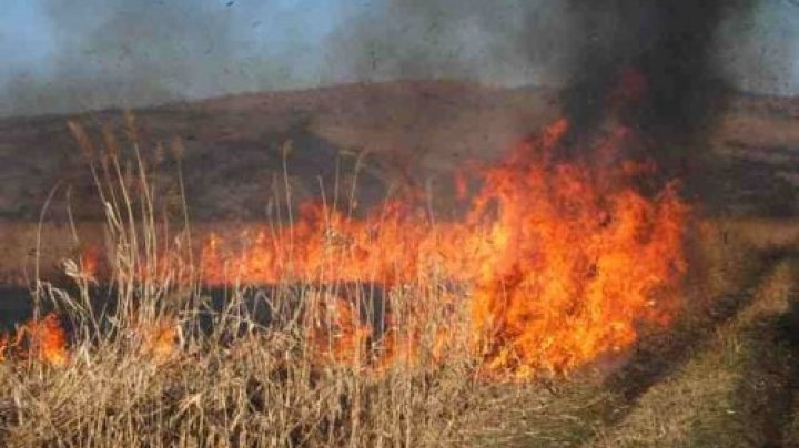 Pompierii, în ALERTĂ. În ultimele 24 de ore, salvatorii au lichidat peste 20 de incendii de vegetație 