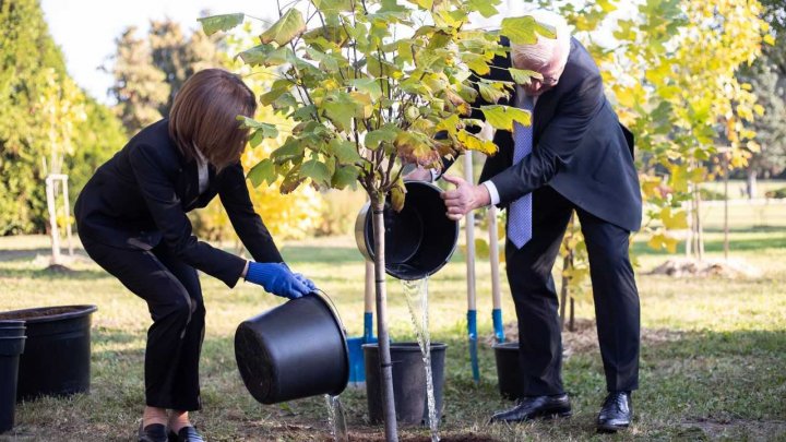 Maia Sandu şi Frank-Walter Steinmeier au plantat câte un copac în Grădina Botanică