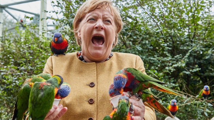 IMAGINEA ZILEI cu Angela Merkel. Cancelarul german a vizitat parcul de păsări din orașul Marlow (FOTO)