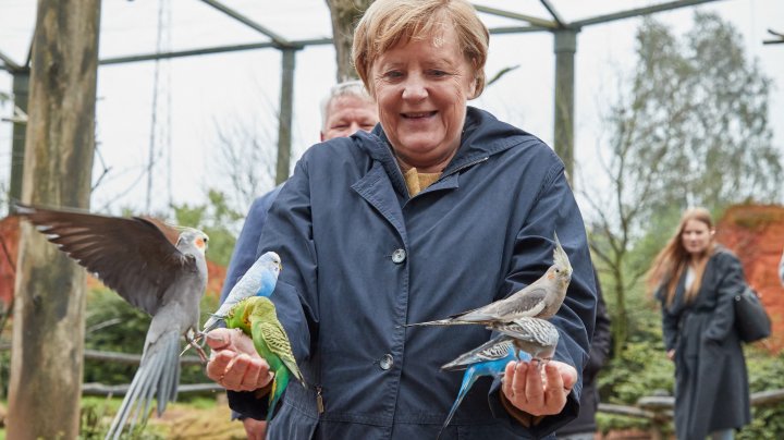 IMAGINEA ZILEI cu Angela Merkel. Cancelarul german a vizitat parcul de păsări din orașul Marlow (FOTO)