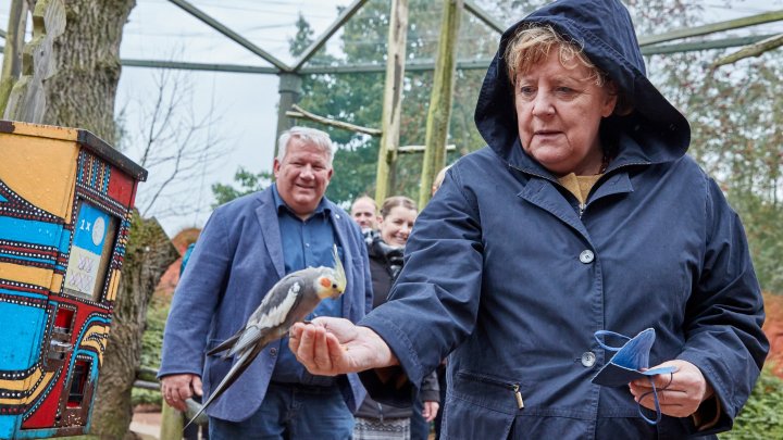 IMAGINEA ZILEI cu Angela Merkel. Cancelarul german a vizitat parcul de păsări din orașul Marlow (FOTO)