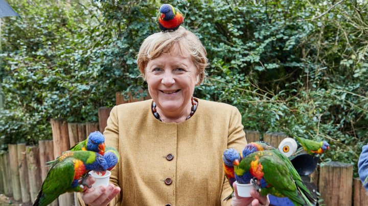 IMAGINEA ZILEI cu Angela Merkel. Cancelarul german a vizitat parcul de păsări din orașul Marlow (FOTO)