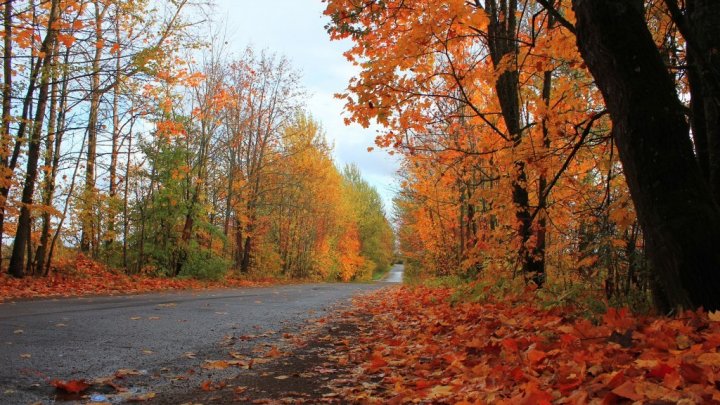 Toamna îşi intră în drepturi. Câte grade vom avea miercuri în termometre