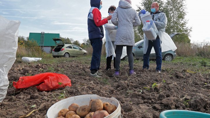 Călare pe cămilă, la cules cules cartofi, cântând și dansând. Vezi cum au fost surprinși unii alegători din unele zonele izolate din Rusia