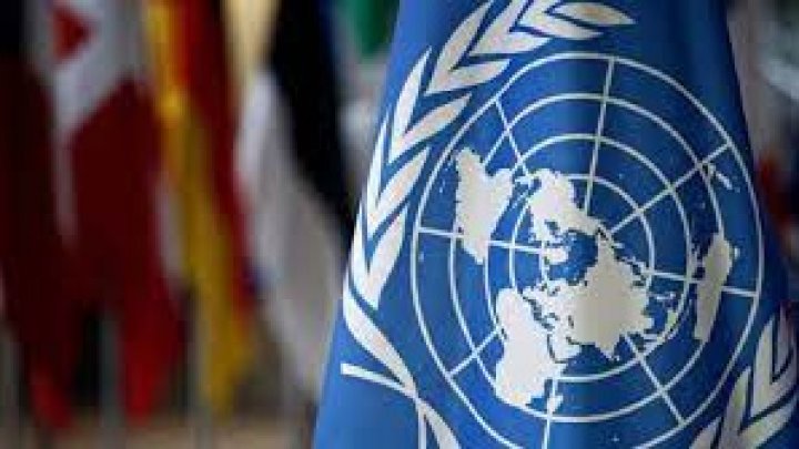 Comisia parlamentară de profil a aprobat noi ambasadori la ONU şi Consiliul Europei. Cine sunt aceştia