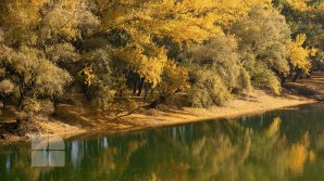 METEO. Cum ne surprinde vremea, astăzi, 28 octombrie