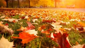 METEO. Vreme se încălzeşte uşor.  Maximele termice pentru următoarele 24 de ore