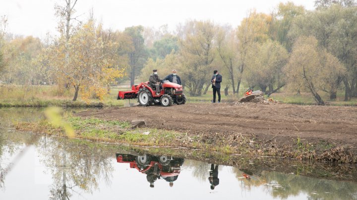 O nouă atracţie turistică la Grădina Botanică. A fost dat startul lucrărilor pentru amenajarea Insulei lalelelor