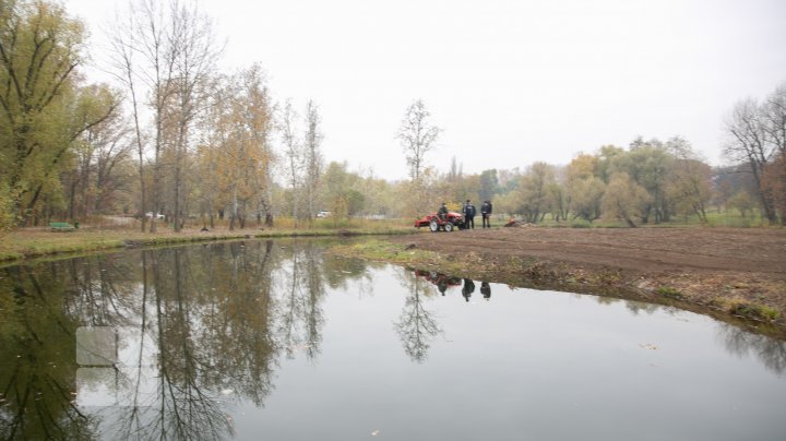 O nouă atracţie turistică la Grădina Botanică. A fost dat startul lucrărilor pentru amenajarea Insulei lalelelor